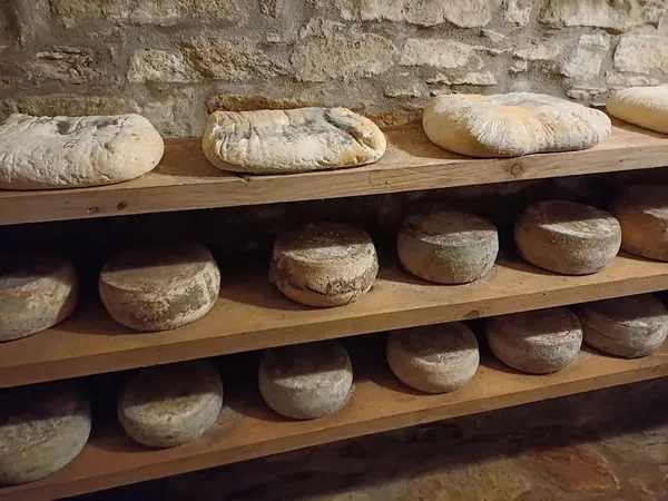 Bricco della Croce - Cessole