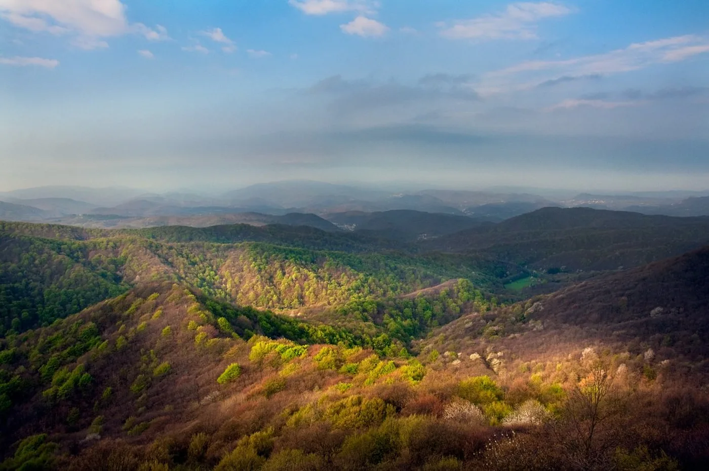 Parco dell'Adelasia
